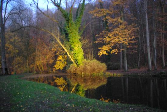 Parc du Castel Saint Pierre