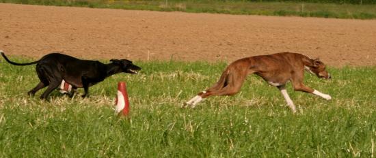 En pleine course
