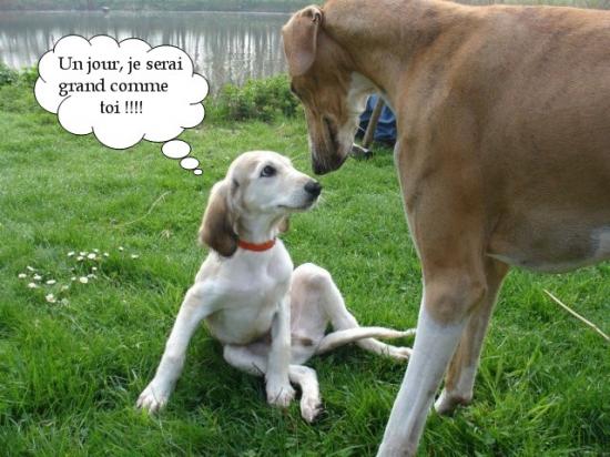 En admiration devant son parrain